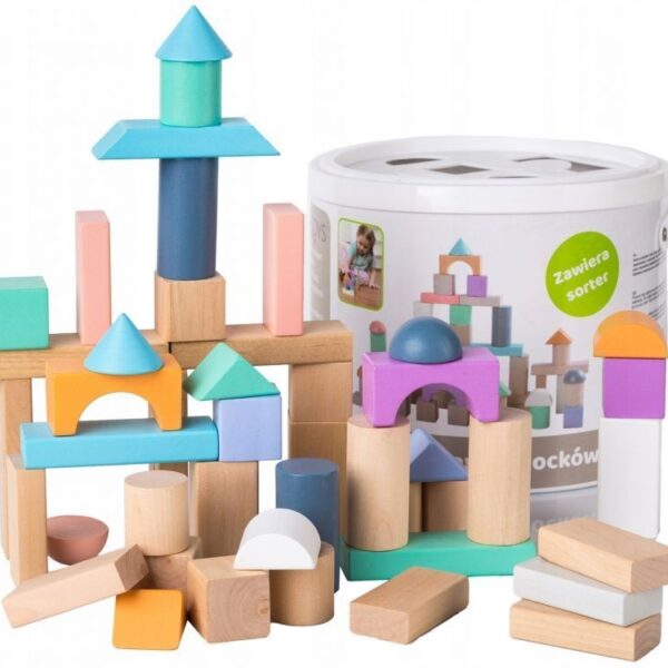 Drvene kocke 100 komada sa kanticom i sorterom ECOTOYS