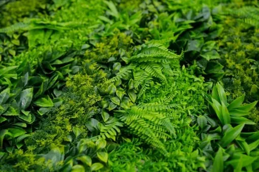 zeleni-zid-3d-lux-100x100-cm1719 ZELENI ZID 3D TARA 1 100X100 CM - Slika 2
